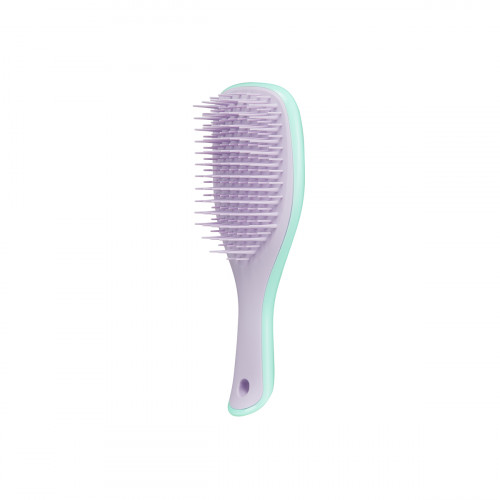 Щітка Tangle Teezer The Wet Detangler Mini Wisteria  Leaf