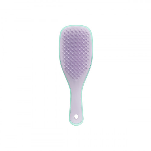 Щітка Tangle Teezer The Wet Detangler Mini Wisteria  Leaf