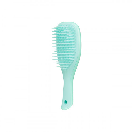 Щітка Tangle Teezer The Wet Detangler Mini Sea  Green