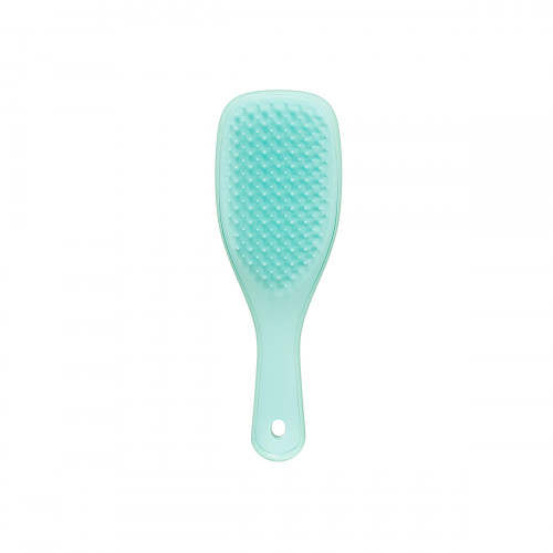 Щітка Tangle Teezer The Wet Detangler Mini Sea  Green