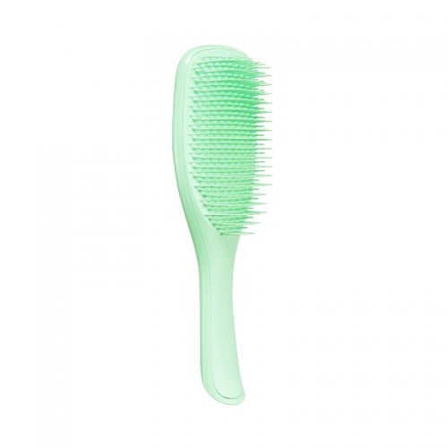 Щітка Tangle Teezer The Wet Detangler Mint  Karma