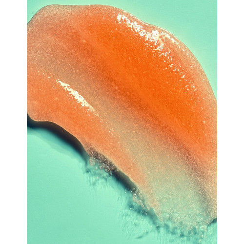 Tree Hut Bikini Reef Sugar Scrub 510g Скраб для тіла