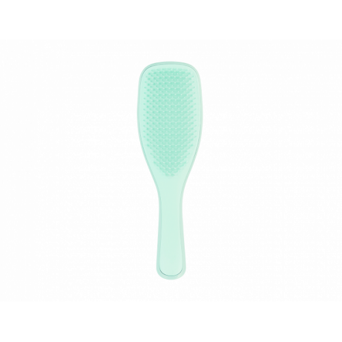 Щітка Tangle Teezer The Wet Detangler Fine & Fragile Sea Spray Green1