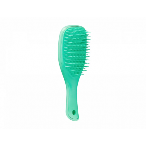 Щітка Tangle Teezer The Wet Detangler Mini Green Lizard